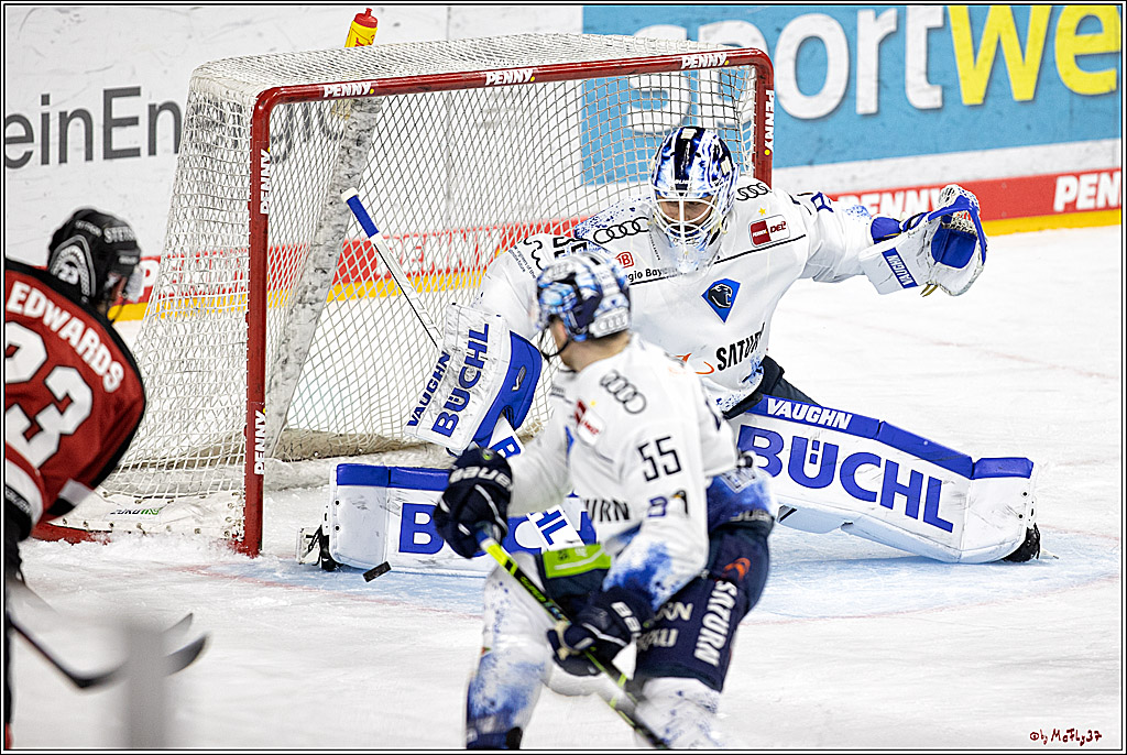 PENNY DEL;  Koelner Haie - ERC Ingolstadt; Koeln, 19.12.2021